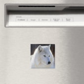 Wolf Magnet (In Situ (Geschirrspüler))