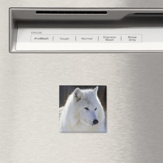 Wolf Magnet (In Situ (Geschirrspüler))