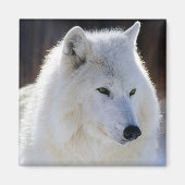 Wolf Magnet (Vorne)