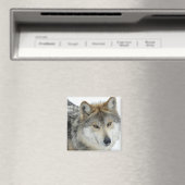 Wolf Magnet (In Situ (Geschirrspüler))