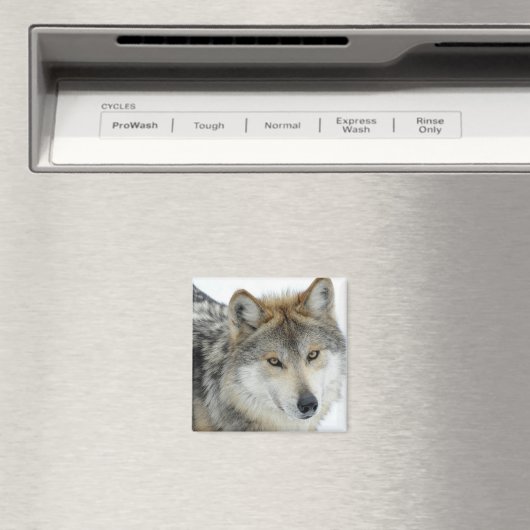 Wolf Magnet (In Situ (Geschirrspüler))