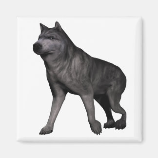 Wolf Magnet