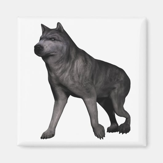 Wolf Magnet (Vorne)
