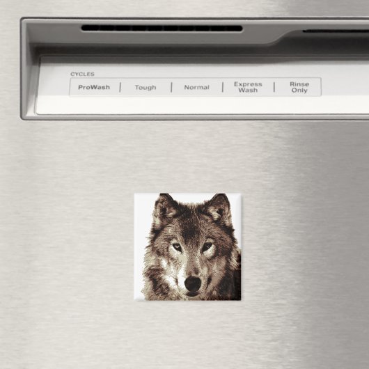 Wolf Magnet (In Situ (Geschirrspüler))
