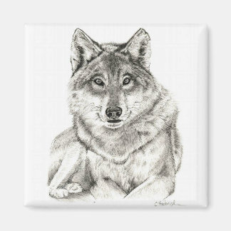 Wolf Magnet