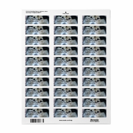 Wolf Malamute Rücksendeadresse (Vorne)