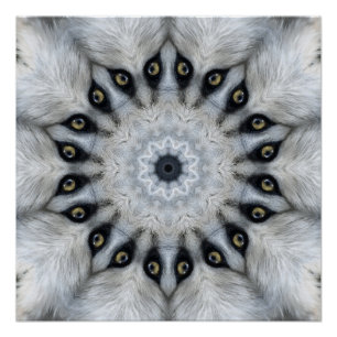 Wolf Mandala Wilde Augen und Flauschige Symmetrie Poster