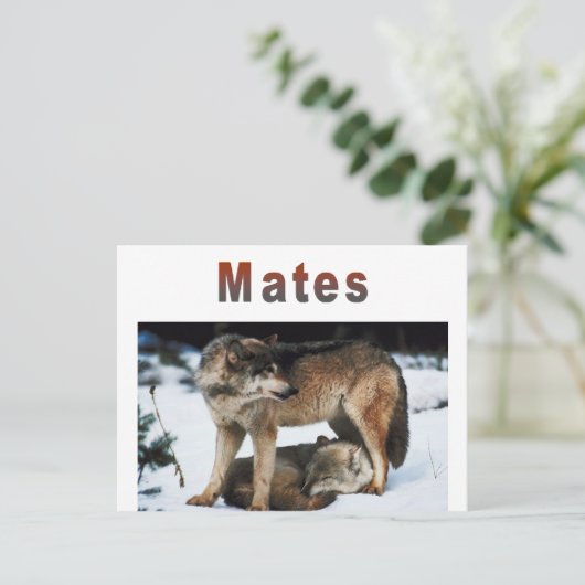 Wolf Mates Line Postkarte (Stehend Vorderseite)