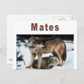 Wolf Mates Line Postkarte (Vorne/Hinten)