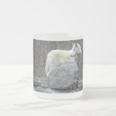 Wolf Mattglastasse (Mittel)