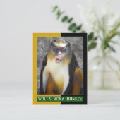 Wolf-Mona (Guenon)-Affe Postkarte (Stehend Vorderseite)