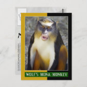 Wolf-Mona (Guenon)-Affe Postkarte (Vorne/Hinten)