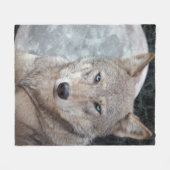 Wolf-Mond-Fleece-Decke Fleecedecke (Vorderseite (Horizontal))