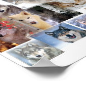 Wolf-Montage Poster (Ecke)
