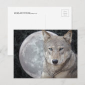 Wolf Moon Postcard Postkarte (Vorne/Hinten)