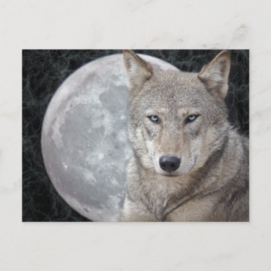 Wolf Moon Postcard Postkarte (Vorderseite)
