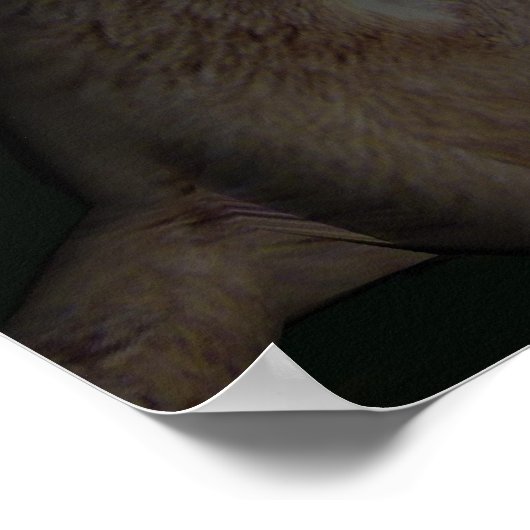 Wolf Moon Poster (Ecke)