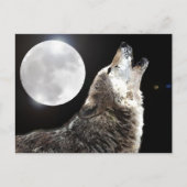 Wolf & Moon Postkarte (Vorderseite)