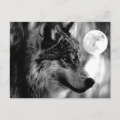 Wolf & Moon Postkarte (Vorderseite)