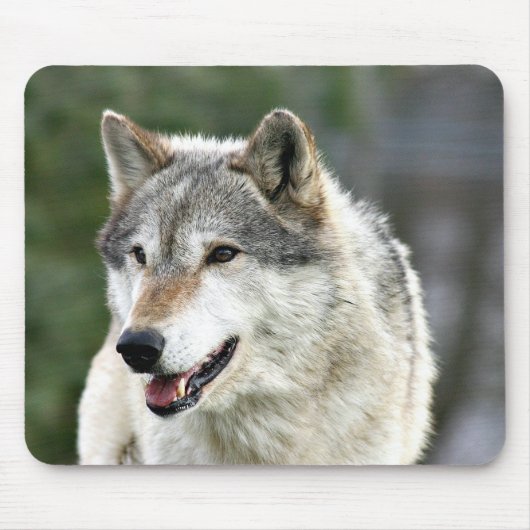 Wolf Mousepad (Vorne)