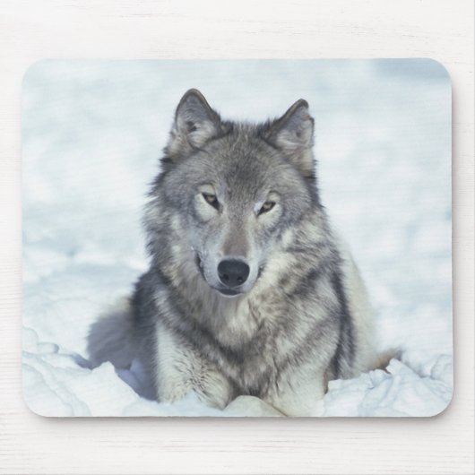 Wolf Mousepad (Vorne)