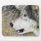 Wolf Mousepad (Vorne)