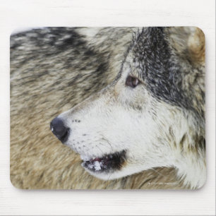 Wolf Mousepad