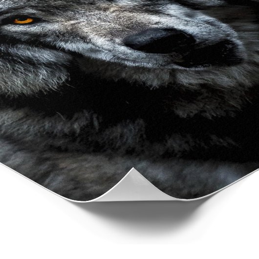 Wolf Orange Eyes Wildtierart Poster (Ecke)