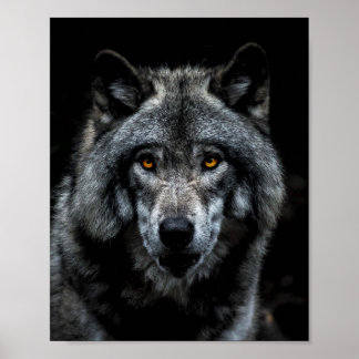 Wolf Orange Eyes Wildtierart Poster