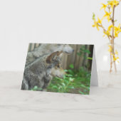 Wolf-Paar-Gruß-Karten Karte (Gelbe Blume)