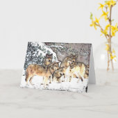 Wolf Pack-BDD Karte (Gelbe Blume)