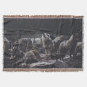 Wolf Pack Decke (Vorderseite)