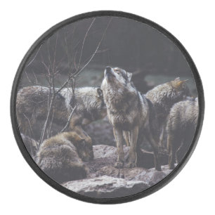 Wolf Pack Eishockey Puck
