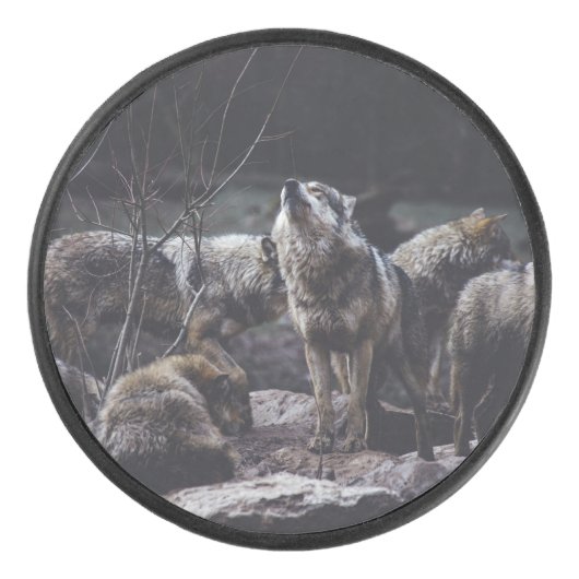 Wolf Pack Eishockey Puck (Vorderseite)