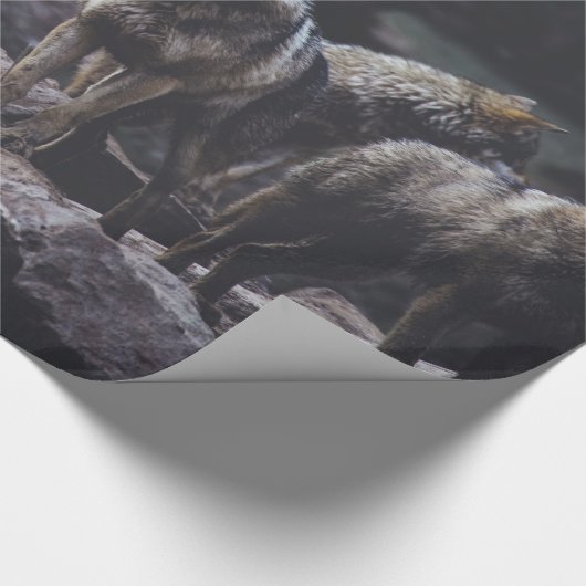 Wolf Pack Geschenkpapier (Ecke)