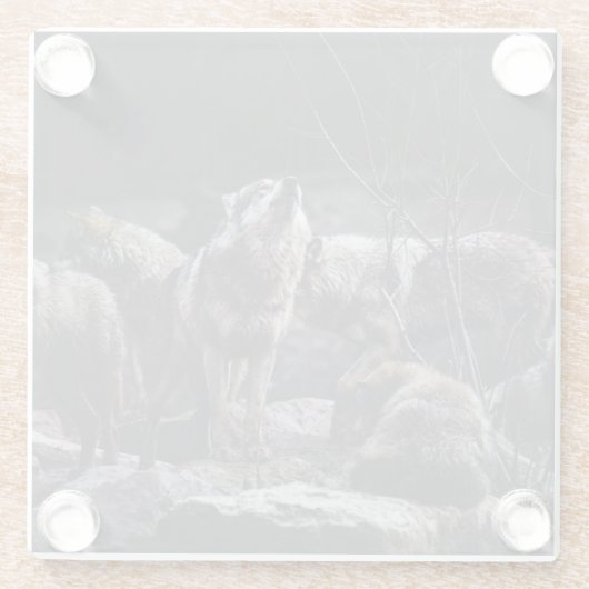 Wolf Pack Glasuntersetzer (Rückseite)