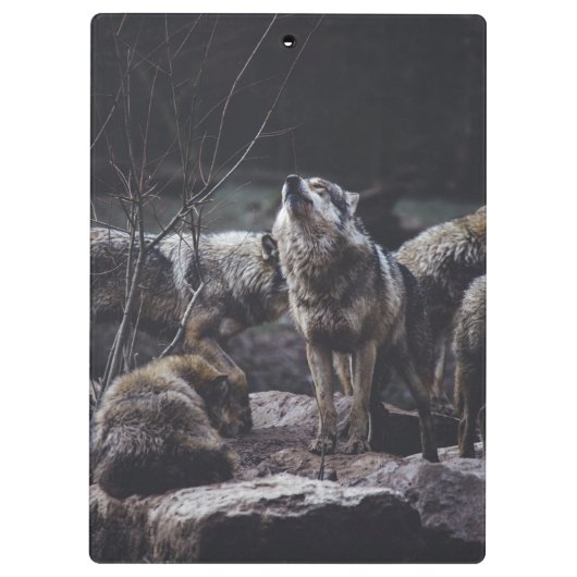 Wolf Pack Klemmbrett (Rückseite)