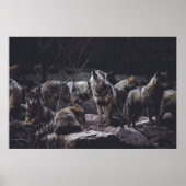 WOLF PACK ON ROCK FORMATION POSTER (Vorne)