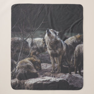 WOLF PACK ON ROCK FORMATION SHERPADECKE