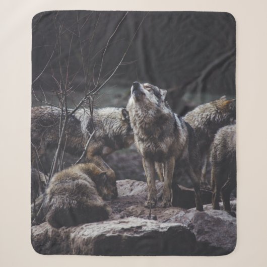WOLF PACK ON ROCK FORMATION SHERPADECKE (Vorderseite)