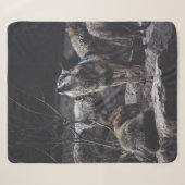 WOLF PACK ON ROCK FORMATION SHERPADECKE (Vorderseite (Horizontal))