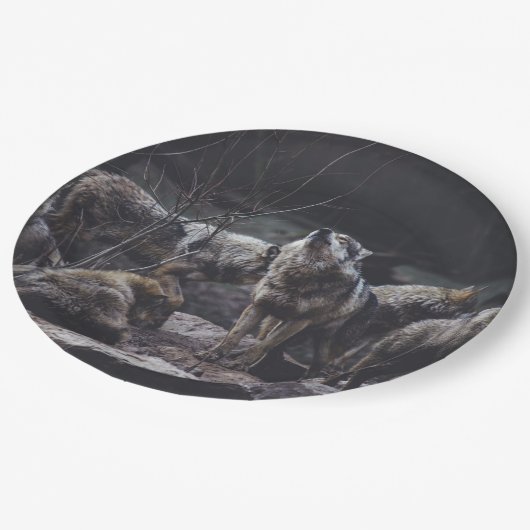 Wolf Pack Pappteller (Schrägansicht)