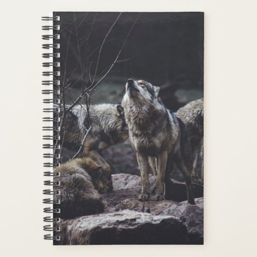 Wolf Pack Planer (Vorderseite)