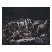 Wolf Pack Poster (Vorderseite)