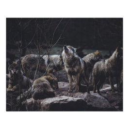 Wolf Pack Poster