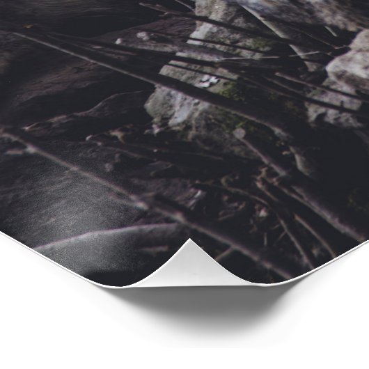 Wolf Pack Poster (Ecke)