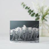 Wolf Pack Postkarte (Stehend Vorderseite)