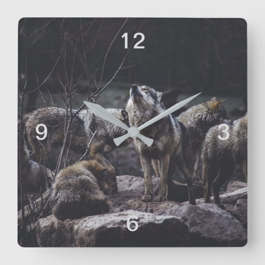Wolf Pack Quadratische Wanduhr (Vorderseite)