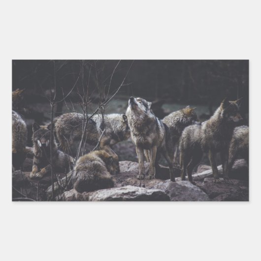Wolf Pack Rechteckiger Aufkleber (Vorderseite)