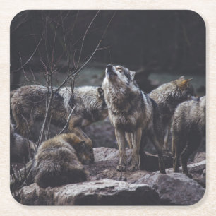 Wolf Pack Rechteckiger Pappuntersetzer